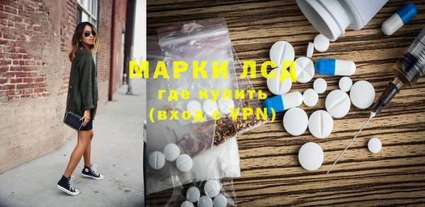 ГАЛЛЮЦИНОГЕННЫЕ ГРИБЫ Верея