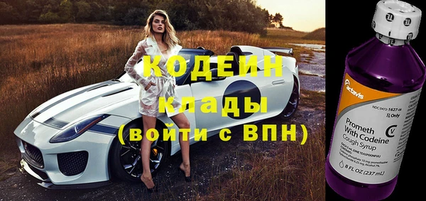 ГАЛЛЮЦИНОГЕННЫЕ ГРИБЫ Верея