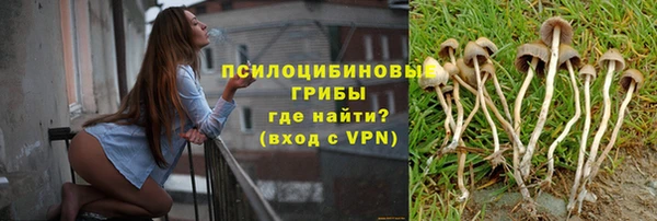 ГАЛЛЮЦИНОГЕННЫЕ ГРИБЫ Верея