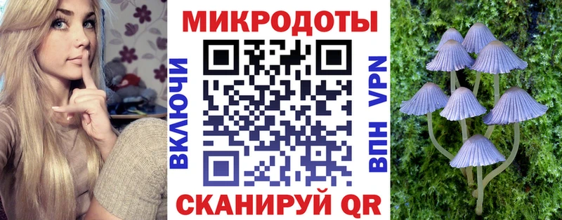 Галлюциногенные грибы прущие грибы  Губкин 